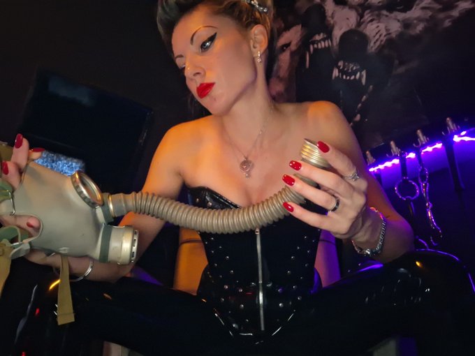 Looking after Mistress Emma’s most precious possessions